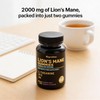 Lion's Mane Gummies, Mixed Berry Flavour, with L-Theanine, B6, B12,