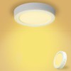 Yexati Ceiling Light LED Ceiling Light Flat Round 15 W