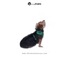 Trendy Paws Small Dog Harness Set (Emerald, Large)