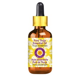 Deve Herbes Pure Thuja Essential Oil (Thuja occidentalis) with Glass Dropper Steam Distilled 10ml (0.33 oz)