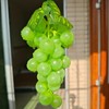 UMPE Artificial Grapes 6 Bunches, Fake Grapes, Realistic Burgundy Purple