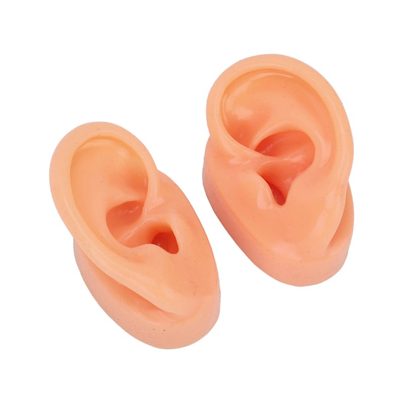 Silicone Ear Model Human Artificial Ear Display for Hearing Aids