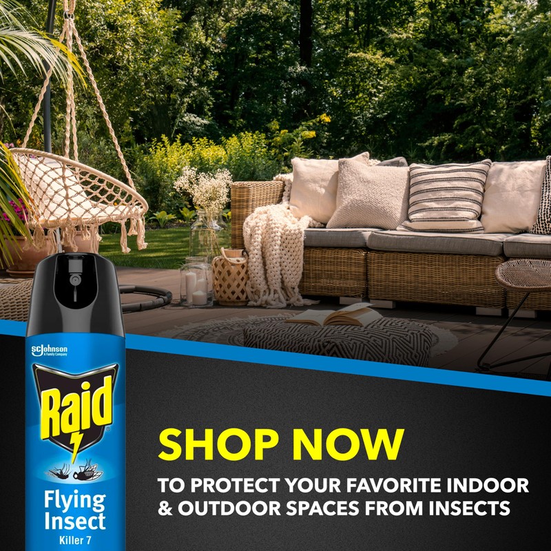 Raid Flying Insect Killer, Kills Flies, Mosquitoes, and Other Flying