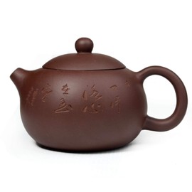 Xishi Teapot 9oz Chinese Zisha Clay Purple Sand Mud Kungfu Kettle Filter Loose Tea