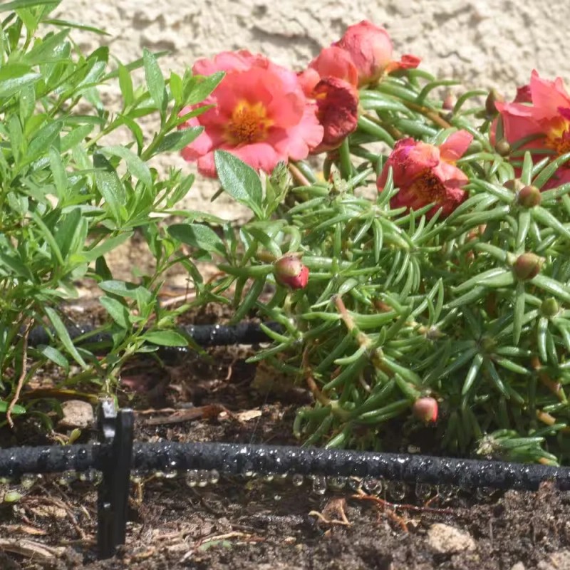 DIG 1/4 in. x 50 ft. Porous Drip Soaker Hose