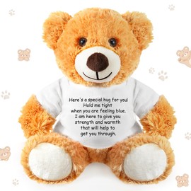 Lenwen a Bear Hug Gift Get Well Soon Bear Sympathy Gift for Women Plush Stuffed Animal Hug Thinking of You Condolences Memorial Loved Present (Orange)