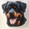 Rottweiler Dog Gorgeous Flat Acrylic Pin Tac Jewelry