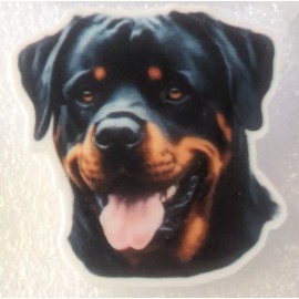 Rottweiler Dog Gorgeous Flat Acrylic Pin Tac Jewelry