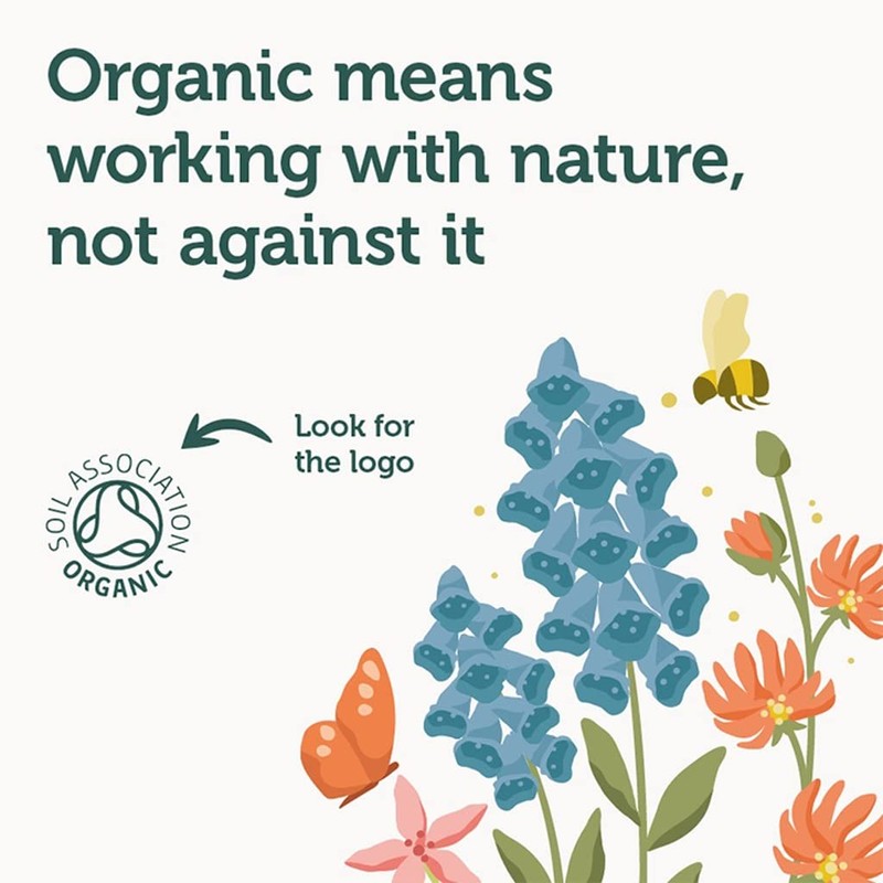 Ausha Organic Haritaki Powder 200g | Terminalia Chebula l Constipation