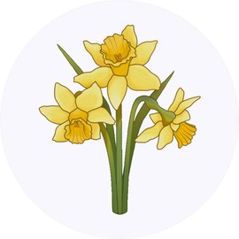 24 x 40mm Round 'Daffodils' Stickers (SK00040239)