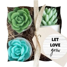 Let Love Grow Succulent Soap Gift Set. Unique Gift Idea for Bridal Shower, Engagement, or Wedding
