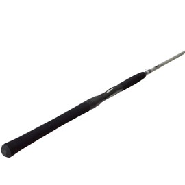 Fitzgerald Fishing AquaFin Saltwater Series Spinning 7'0" Medium Fast