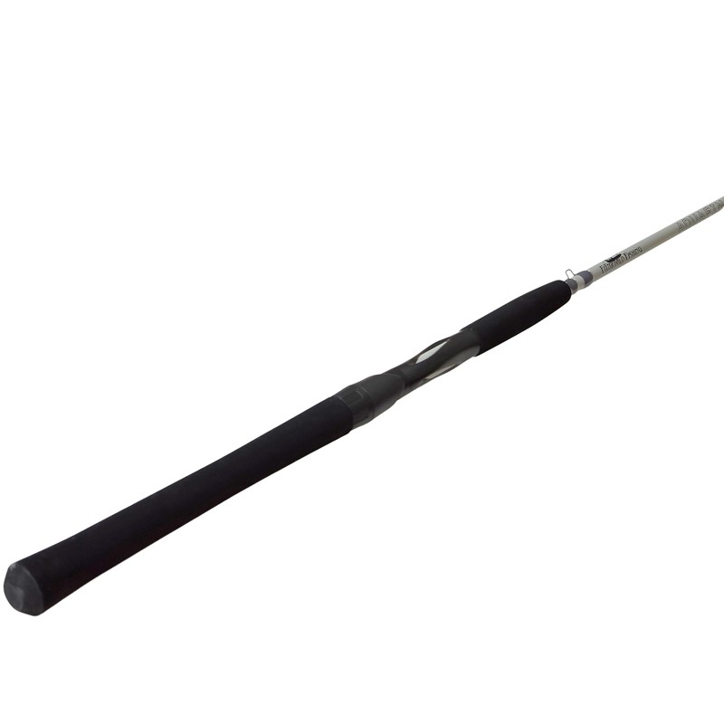 Fitzgerald Fishing AquaFin Saltwater Series Spinning 7'0" Medium Fast