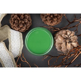 Dixie Belle Paint Company Chalk Finish Furniture Paint | Evergreen (8oz) | Matte Bold Green Chic Chalk Mineral Paint | DIY Furniture Paint