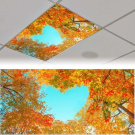 QOROL - 2 fundas de luz fluorescente para luz de techo, hoja de otoño, panel de sombra, filtro decorativo de película para reducir el deslumbramiento duro, decoración del hogar, escuela, oficina