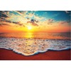 Educa - 1000 Piece Puzzle for Adults | Sunset. +14