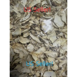 Smallhold Organic Dried King Oyster Trumpet Mushrooms 1.5 Pounds US Seller