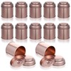 12 Pack Tea Tins Canister With Airtight Double Lids, 8