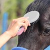 Tskcvy Mane Pulling Comb for Horses Professional Mane and Tail