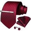 DiBanGu Plaid Ties for Men Silk Checkered Necktie and Pocket