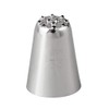 Wilton Multi-Opening Piping Tip #233