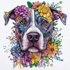 CafePress American Pit Bull Terrier 20x6 Wall Decal, Vinyl Wall