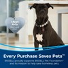Bissell PowerForce Helix Bagless Upright Vacuum 3313, PET Friendly Carpet