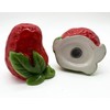 Ceramic Salt & Pepper Shakers - Strawberry Shaped Salt &