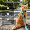 YooxArmor Adjustable Cat Harness and Leash Set, Escape Proof Kitten