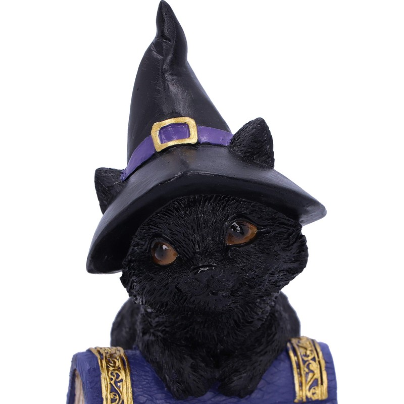 Nemesis Now Pocus Small Witches Familiar Black Cat and Spellbook