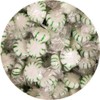 Spearmint Starlight Hard Candy 3 lb Bulk Bag