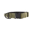 KONG Ultra Durable Padded Comfort Handle Dog Collar (Medium, Green)