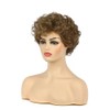 Womens Blonde Brown Short Fluffy Curly Wig for Daily Party