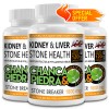 Daitea Kidney Liver Stone Health Natural Detox Repair Reduces Burden