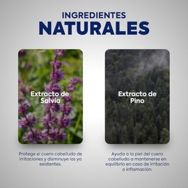 Shampoo Control Grasa, con Extracto de Sauce, 360 ml, Limpieza Profunda para Cuero Cabelludo                                                          
