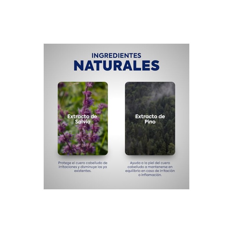 Shampoo Control Grasa, con Extracto de Sauce, 360 ml, Limpieza