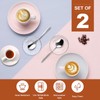 Glass Coffee Spoon Rest Set of 2, Small Spoon Rest