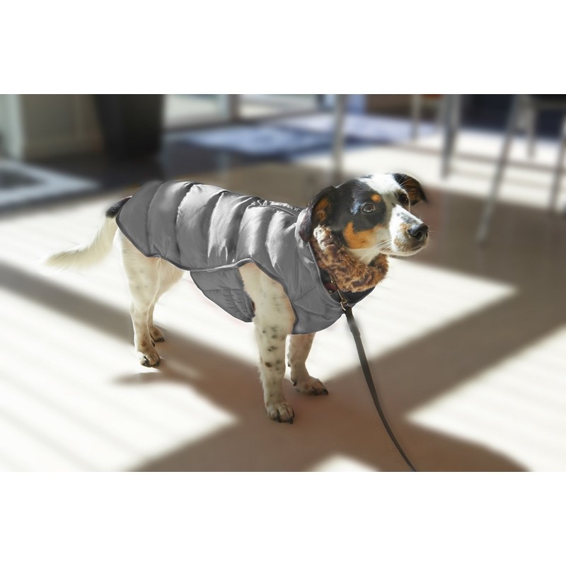 Buster Active Winter Jacket, 2X-Small, Paloma Grey