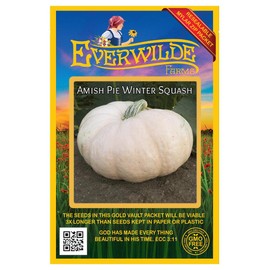 Everwilde Farms - 10 Amish Pie Winter Squash Seeds - Gold Vault Jumbo Seed Packet