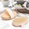 2 Pack Body Brushes,Exfoliating Magic,Blood Circulation Boosting Brush,Helps Reduce Cellulite