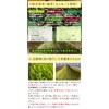 Honjien Tea Japanese Tea Powdered Green Tea from Kagoshima, Large