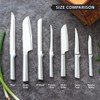 Rada Cutlery Everyday Paring Knife – Stainless Steel Blade With