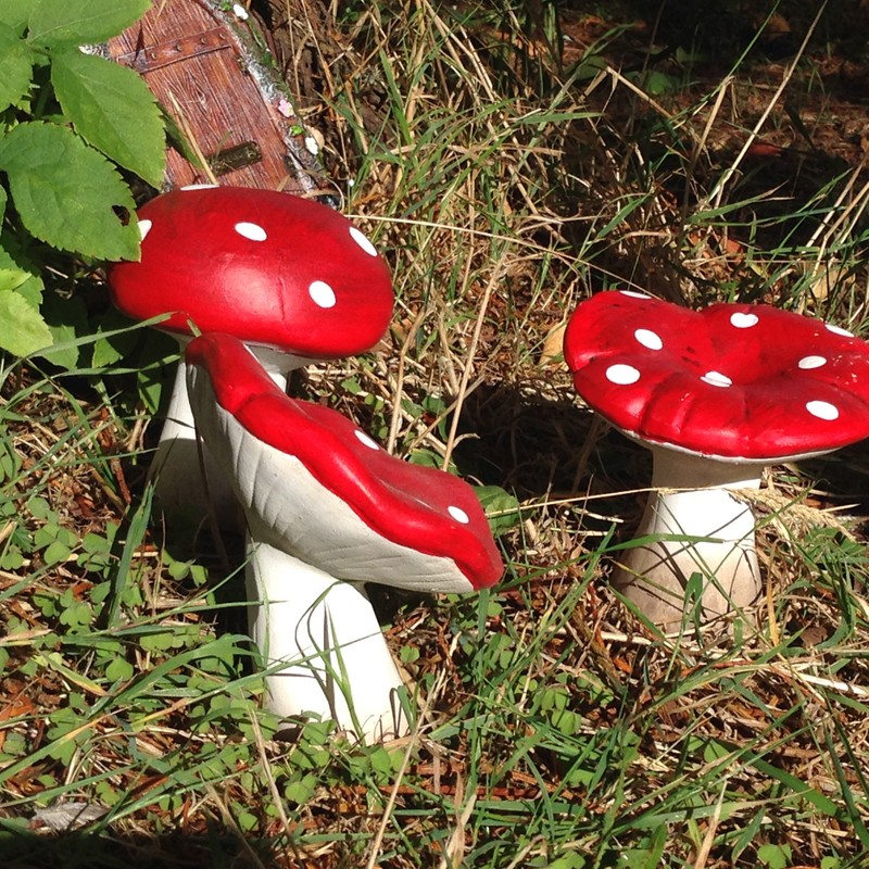 Garden minis (Set of 3 Mushroom)