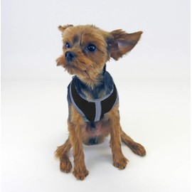 Cloak & Dawggie Mesh Step-N-Go Small Dog Harness Step In Teacup to 25 LBS. Vest Easy On Adjustable. XXXS Xsmall Toy Puppies to Medium. Reflective Soft Walking Doggy Wrap Vest (7200 - (T4 - XXS) Black)