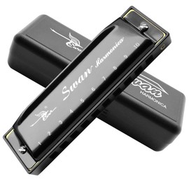 Harmonica Armonica Mouth Organ Blues Harmonica Key of C 10 Hole 20 Tone Polyphony Diatonic Harp with Case for Blues Folk Jazz Pop for Music Student Teacher Teaching Beginner Gift