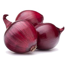 Red Burgundy Onion Seeds -100 Count Seed Pack - Non GMO - A Medium-Size red Onion Variety with a Purple-red Flesh.