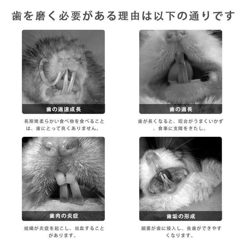 LKCCTK Chinchilla Chewing Stone Rectangular 12pcs Small Pets Guinea Pigs