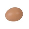 ReaVET Breeding Aid Eggs in Net Pack of 25 -