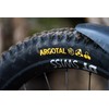 Continental Argotal Tire - 27.5 x 2.40 Tubeless, Folding, SuperSoft