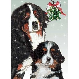 Bernese Mountain Dog Christmas Cards : 10 Holiday Cards with White Envelopes - ADORABLE!